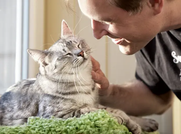 Do Cats Understand Human Language?