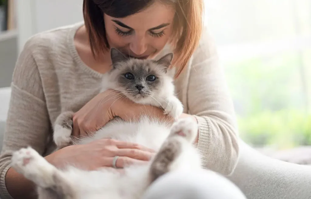 Do Cats Understand Human Language?