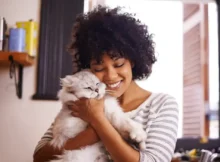 Why Do Some Cats Seem to Prefer One Person Over Others?