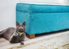 How do you prevent your cat from scratching furniture