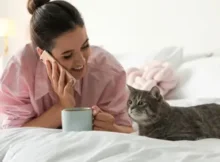 How Do Cats Communicate Their Needs to Humans