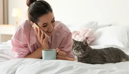 How Do Cats Communicate Their Needs to Humans